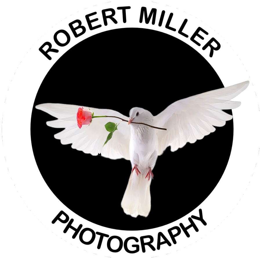 Robert Miller Photography Logo 24-12-29AA